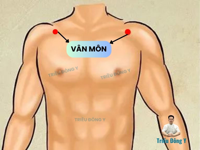 Vị Trí Huyệt Vân Môn (LU2)