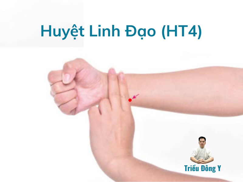 Huyệt Linh Đạo (HT4): Khai Mở 'Con Đường Tâm Linh', Chìa Khóa Cho Sức Khỏe Tâm Thần & Tim Mạch