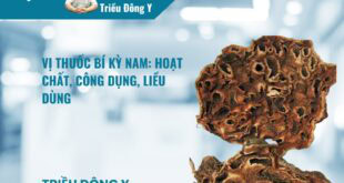 Vị Thuốc Bí Kỳ Nam: Hoạt chất, Công dụng, Liều dùng