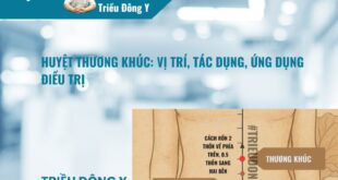 Huyệt Thương Khúc: Vị trí, Tác dụng, Ứng dụng Điều trị