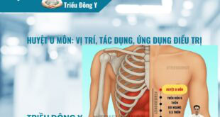 Huyệt U Môn: Vị trí, Tác dụng, Ứng dụng Điều trị