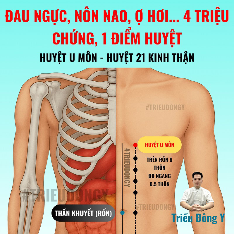 Tác Dụng Và Ứng Dụng Huyệt U Môn