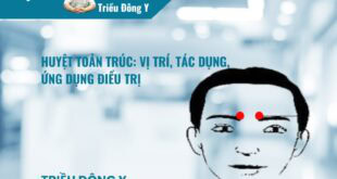Huyệt Toản Trúc: Vị trí, Tác dụng, Ứng dụng Điều trị
