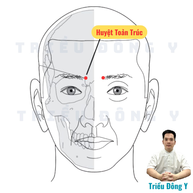 Vị Trí Chính Xác Huyệt Toản Trúc