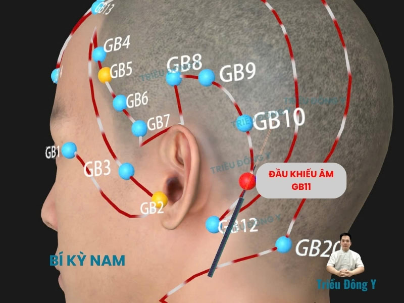Vị trí Đầu Khiếu Âm (GB11) thuộc kinh thận