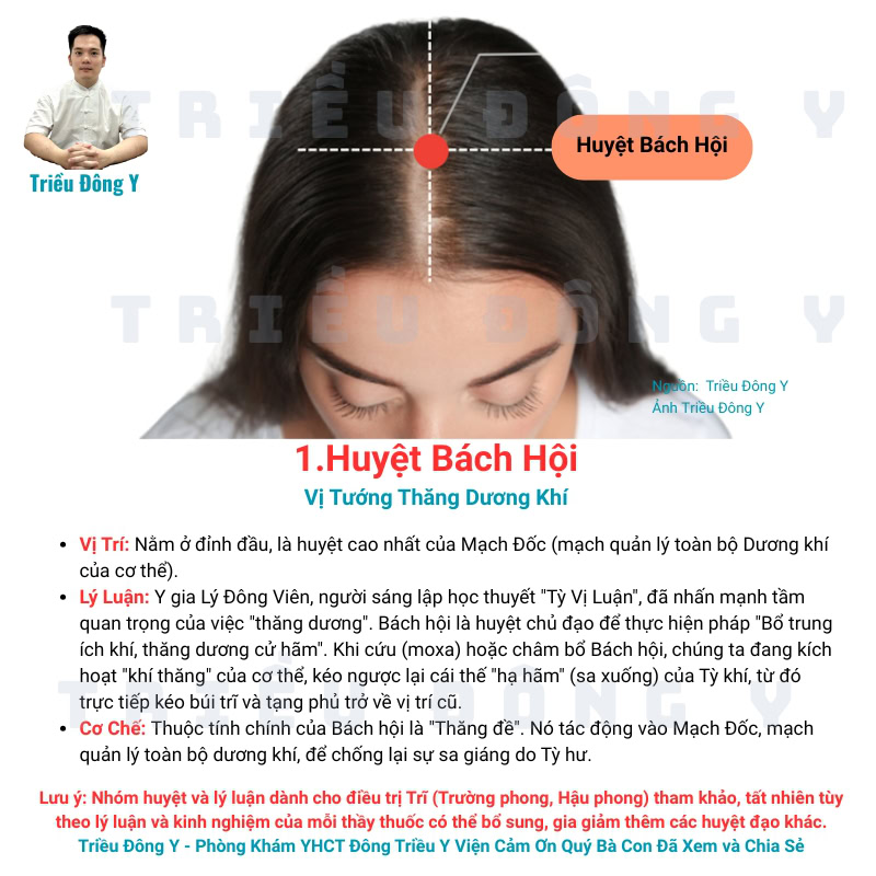 Vì Sao điều trị Trĩ (Trường phong, Hậu phong) dùng bộ huyệt: Trường cường, Bách hội, Thừa sơn, Túc tam lý 7 Huyệt Bách Hội Thuộc Bộ Huyệt Điều Trị Trĩ Kinh Điển