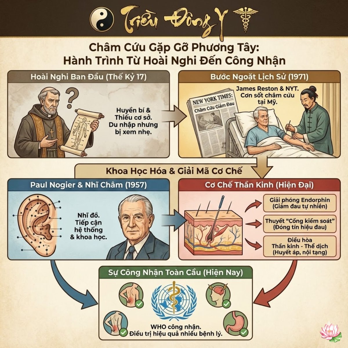 Châm cứu và giải đáp theo góc nhìn hiện đại