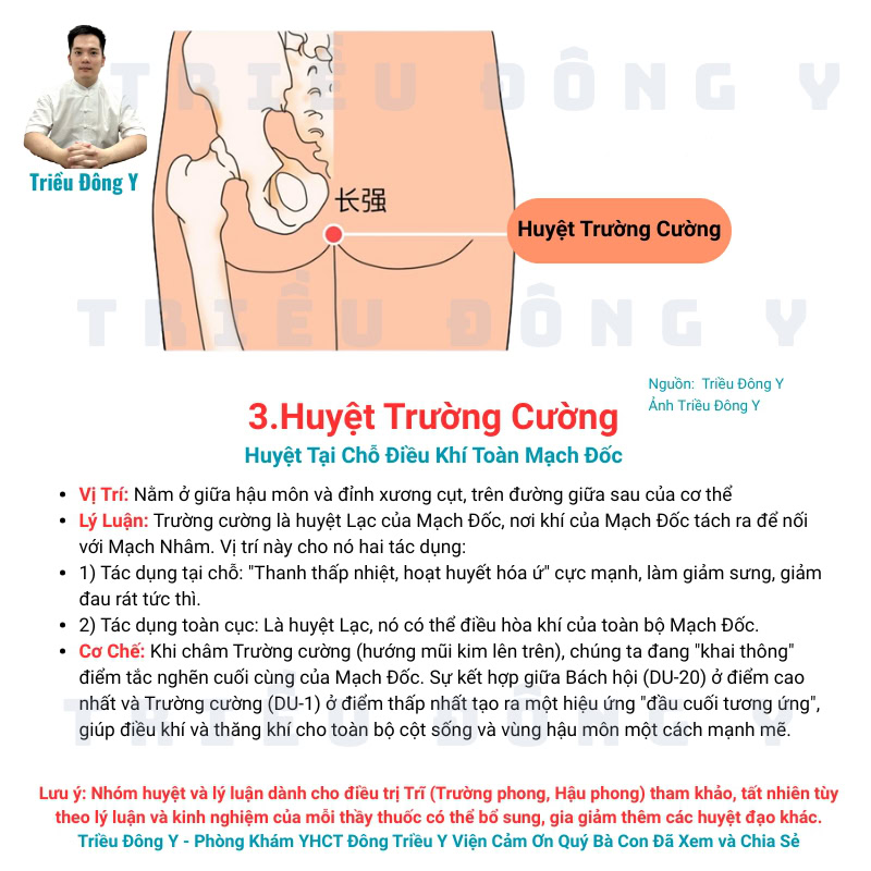 Vì Sao điều trị Trĩ (Trường phong, Hậu phong) dùng bộ huyệt: Trường cường, Bách hội, Thừa sơn, Túc tam lý 9 Huyệt Trường Cường Thuộc Bộ Huyệt Điều Trị Trĩ Kinh Điển