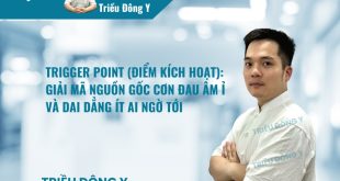 Trigger Point (Điểm Kích Hoạt): Giải Mã Nguồn Gốc Cơn Đau Âm Ỉ và Dai Dẳng Ít Ai Ngờ Tới