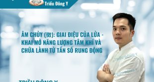 Âm Chủy (徵): Giai Điệu Của Lửa - Khai Mở Năng Lượng Tâm Khí Và Chữa Lành Từ Tần Số Rung Động
