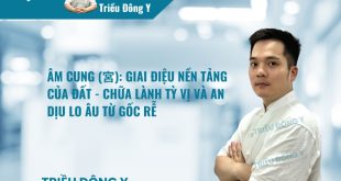 Âm Cung (宮): Giai Điệu Nền Tảng Của Đất - Chữa Lành Tỳ Vị Và An Dịu Lo Âu Từ Gốc Rễ