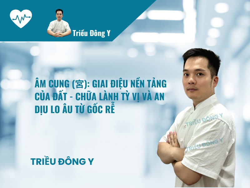 Giai Điệu Dưỡng Tỳ Vị – Âm Cung (宮) – Ngũ Âm Liệu Pháp 2 Âm Cung (宮): Giai Điệu Nền Tảng Của Đất - Chữa Lành Tỳ Vị Và An Dịu Lo Âu Từ Gốc Rễ