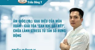Âm Giốc (角): Giai Điệu Của Mùa Xuân - Giải Tỏa "Can Khí Uất Kết", Chữa Lành Stress Từ Tần Số Rung Động