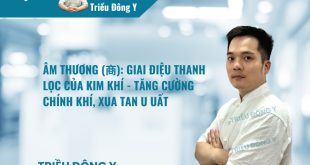 Âm Thương (商): Giai Điệu Thanh Lọc Của Kim Khí - Tăng Cường Chính Khí, Xua Tan U Uất