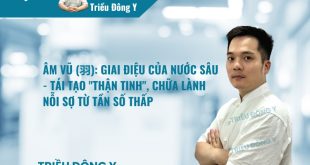 Âm Vũ (羽): Giai Điệu Của Nước Sâu - Tái Tạo "Thận Tinh", Chữa Lành Nỗi Sợ Từ Tần Số Thấp