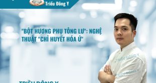 Bột Hương Phụ Tông Lư 4 "Bột Hương Phụ Tông Lư": Nghệ Thuật "Chỉ Huyết Hóa Ứ"