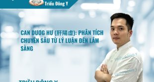 CAN DƯƠG HƯ (肝陽虛): Phân Tích Chuyên Sâu Từ Lý Luận Đến Lâm Sàng
