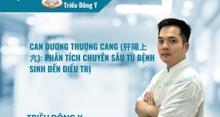 CAN DƯƠNG THƯỢNG CANG (肝陽上亢): Phân Tích Chuyên Sâu Từ Bệnh Sinh Đến Điều Trị