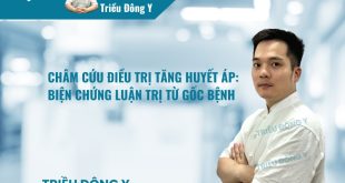 Châm Cứu Điều Trị Tăng Huyết Áp: Biện Chứng Luận Trị Từ Gốc Bệnh