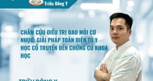 Châm Cứu Điều Trị Đau Mỏi Cơ Nhục: Giải Pháp Toàn Diện Từ Y Học Cổ Truyền Đến Chứng Cứ Khoa Học