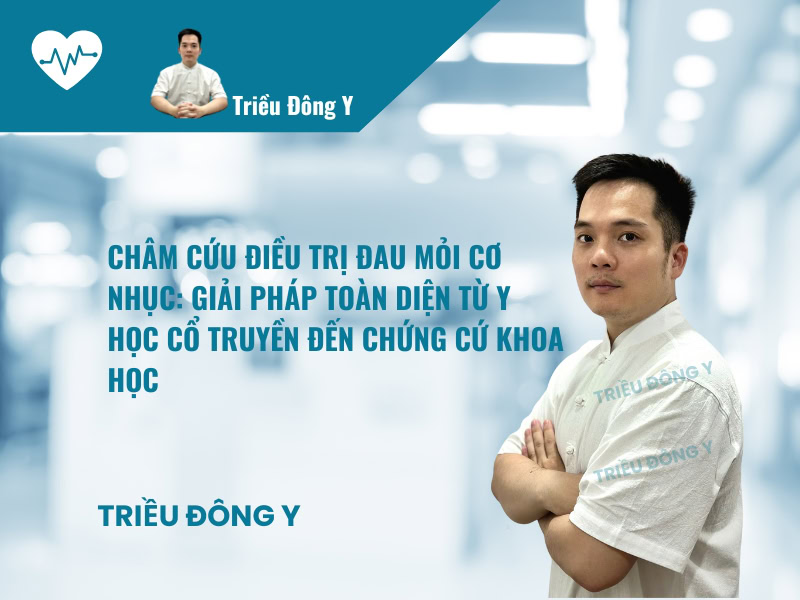 Châm Cứu Điều Trị Đau Mỏi Cơ Nhục: Giải Pháp Toàn Diện Từ Y Học Cổ Truyền Đến Chứng Cứ Khoa Học