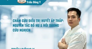 Châm Cứu Điều Trị Huyết Áp Thấp: Nguyên Tắc Bổ Hư & Hồi Dương Cứu Nghịch