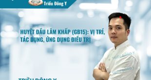 Huyệt Đầu Lâm Khấp (GB15): Vị trí, Tác dụng, Ứng dụng Điều trị