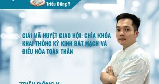 Giải Mã Huyệt Giao Hội: Chìa Khóa Khai Thông Kỳ Kinh Bát Mạch Và Điều Hòa Toàn Thân