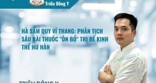 Hà Sâm Quy Vĩ Thang: Phân Tịch Sâu Bài Thuốc "Ôn Bổ" Trị Bế Kinh Thể Hư Hàn