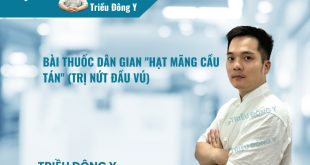 Bài Thuốc Dân Gian "Hạt Mãng Cầu Tán" (Trị Nứt Đầu Vú)