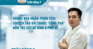 Hương Nga Hoàn: Phân Tích Chuyên Sâu Bài Thuốc "Công Phá" Đờm Trệ Gây Bế Kinh & Phù Nề