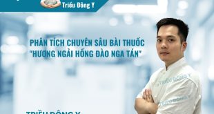 Phân Tích Chuyên Sâu Bài Thuốc "Hương Ngải Hồng Đào Nga Tán"