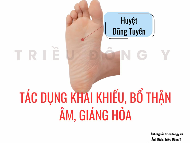 Huyệt Dũng Tuyền 2 Huyệt Dũng Tuyền có tác dụng tư âm giáng hỏa và ứng dụng điều trị chứng mất ngủ, can phong