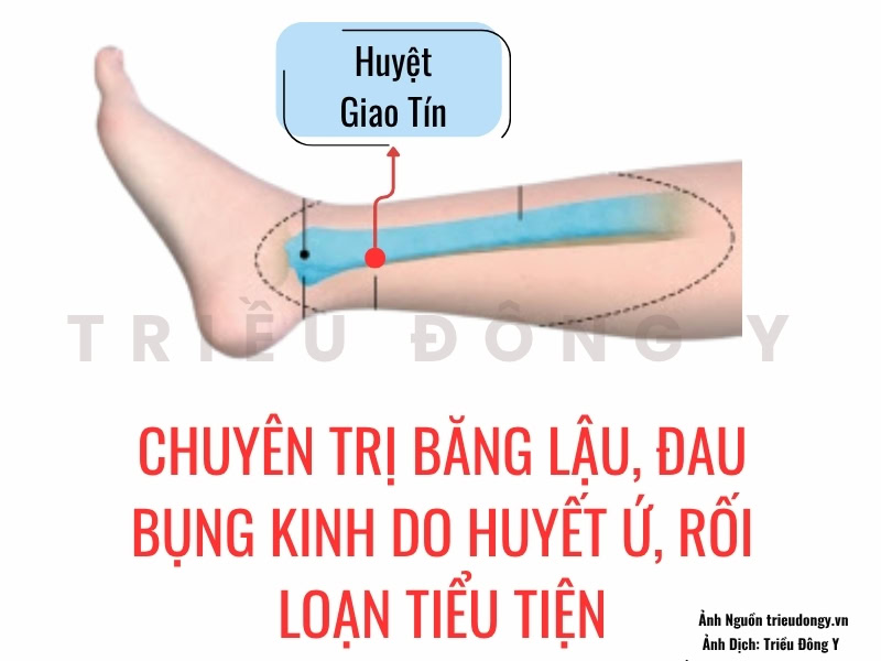 Huyệt Giao Tín 2 Huyệt Giao Tín (KI8): Huyệt Khích của Kinh Thận, liên hệ Âm duy mạch. Chuyên trị băng lậu, đau bụng kinh do huyết ứ, rối loạn tiểu tiện.