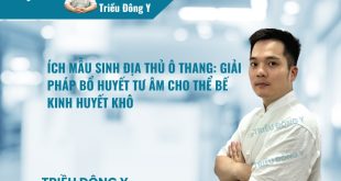 Ích Mẫu Sinh Địa Thủ Ô Thang: Giải Pháp Bổ Huyết Tư Âm Cho Thể Bế Kinh Huyết Khô