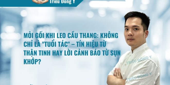 Mỏi Gối Khi Leo Cầu Thang Cảnh Báo Thận Tinh Suy Tán