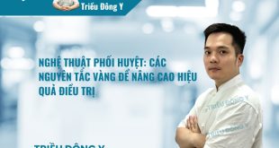 Nghệ Thuật Phối Huyệt: Các Nguyên Tắc Vàng Để Nâng Cao Hiệu Quả Điều Trị