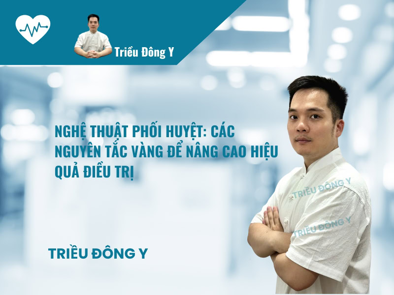 Nguyên Tắt Phối Huyệt Trong Điều Trị 2 Nghệ Thuật Phối Huyệt: Các Nguyên Tắc Vàng Để Nâng Cao Hiệu Quả Điều Trị