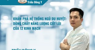 Ngũ Du Huyệt 3 Khám Phá Hệ Thống Ngũ Du Huyệt: Dòng Chảy Năng Lượng Cốt Lõi Của 12 Kinh Mạch