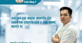 Giải Mã Lạc Mạch: Nguyên Tắc Chẩn Trị Chuyên Sâu & Ứng Dụng Huyệt Vị