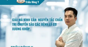 Giải Mã Kinh Cân: Nguyên Tắc Chẩn Trị Chuyên Sâu Các Bệnh Lý Cơ Xương Khớp