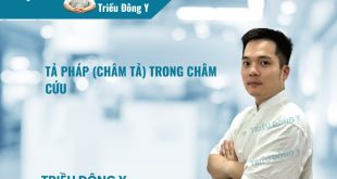 Tả Pháp Trong Châm Cứu