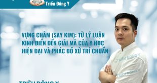 Vựng Châm (Say Kim): Từ Lý Luận Kinh Điển Đến Giải Mã Của Y Học Hiện Đại và Phác Đồ Xử Trí Chuẩn
