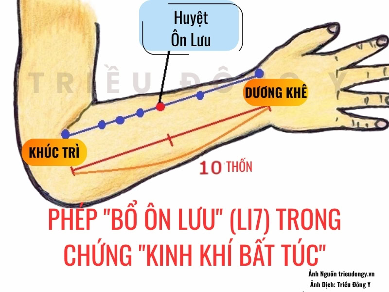 Phép "Bổ Ôn Lưu" (LI7) Trong Chứng "Kinh Khí Bất Túc" 2 YHCT luận trị "Bổ Ôn Lưu" (LI7) khi Kinh Khí Bất Túc. Phân biệt "Hư thống" và "Thực thống" trong phác đồ điều trị phù liệt mặt, đau tay