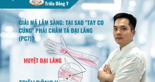 GIẢI MÃ LÂM SÀNG: TẠI SAO "TAY CO CỨNG" PHẢI CHÂM TẢ ĐẠI LĂNG (PC7)?