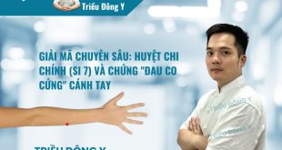 Giải Mã Chuyên Sâu: Huyệt Chi Chính (SI 7) và Chứng "Đau Co Cứng" Cánh Tay
