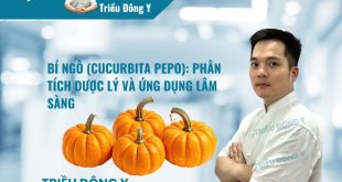 Bí Ngô (Cucurbita pepo): Phân Tích Dược Lý Và Ứng Dụng Lâm Sàng