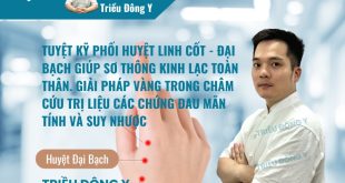 Đại Bạch (Da Bai - 大白穴) "Chiến Thần" Bổ Khí và Giảm Đau