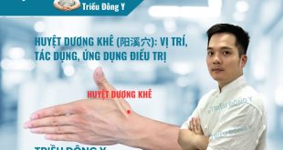 Huyệt Dương Khê (LI5): Giải Mã "Hố Lào" Bí Ẩn Của Kinh Đại Trường & Ứng Dụng Lâm Sàng Chuyên Sâu