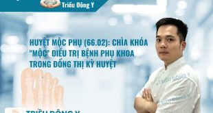 Huyệt Mộc Phụ (木婦穴, Mu Fu): Vị trí, Tác dụng, Ứng dụng Điều trị